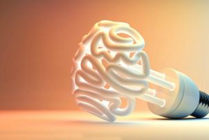 neuroscience of self-directed learning